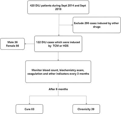 Baseline lymphocyte and cholinesterase levels may be the predictors of chronic herbal drug–induced liver injury